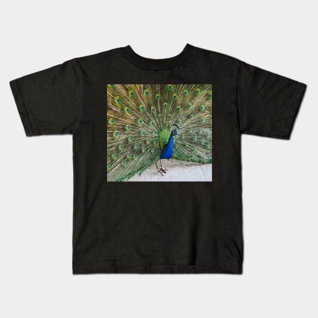 Peacock Kids T-Shirt by Kate-P-